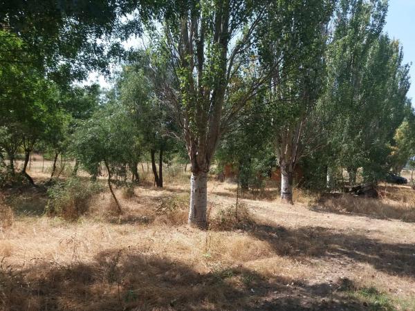 Terreno en Urbanización los Redondos, 75