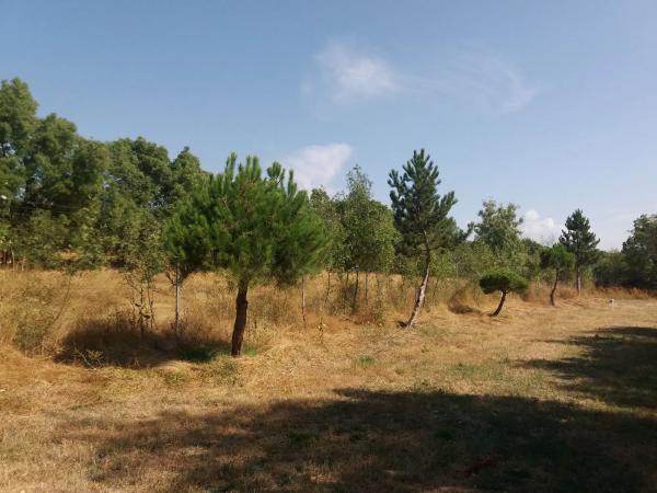 Terreno en Urbanización los Redondos, 75