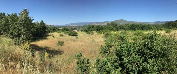 Terreno en camino Madarcos s/n