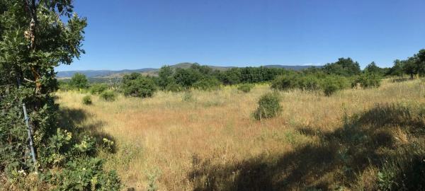 Terreno en camino Madarcos s/n