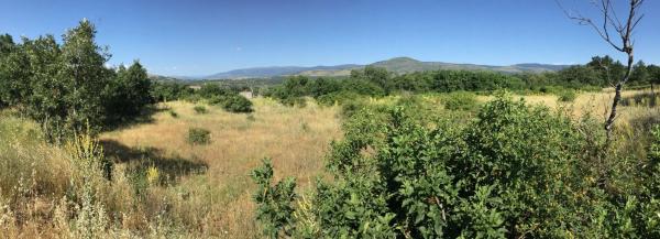 Terreno en camino Madarcos s/n