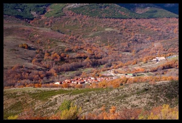 Terreno en carretera Pradena, 14