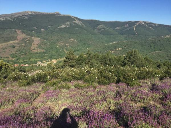 Terreno en carretera Pradena, 14