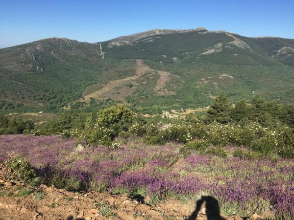 Terreno en carretera Pradena, 14