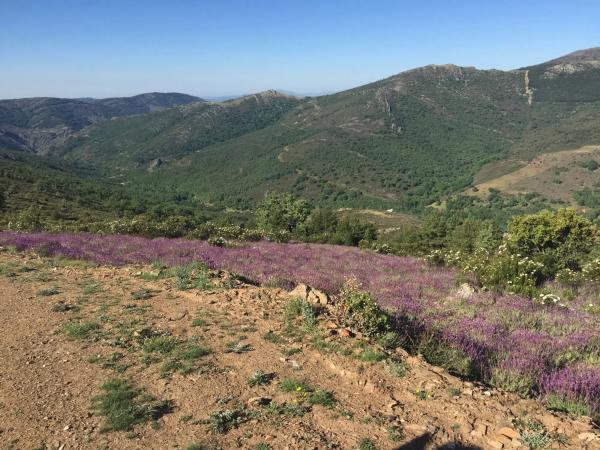 Terreno en carretera Pradena, 14