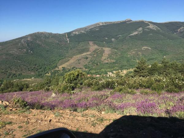 Terreno en carretera Pradena, 14