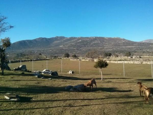Terreno en carretera de Navalafuente, km 2