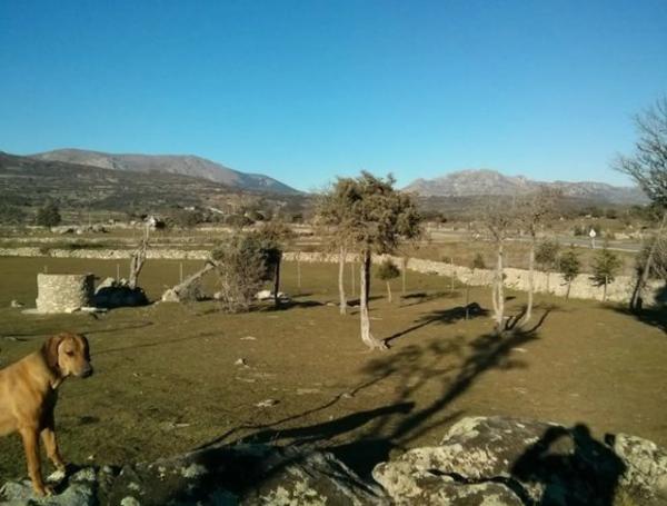 Terreno en carretera de Navalafuente, km 2