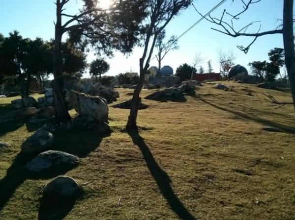 Terreno en carretera de Navalafuente, km 2