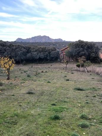 Terreno en camino de Cabanillas, 5