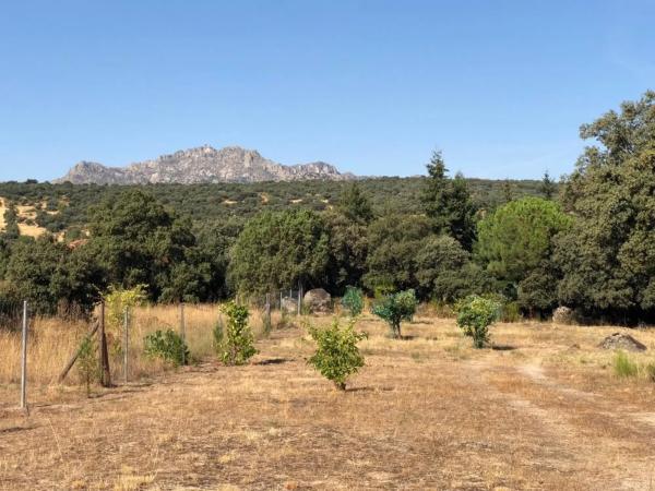 Terreno en camino de Cabanillas, 5