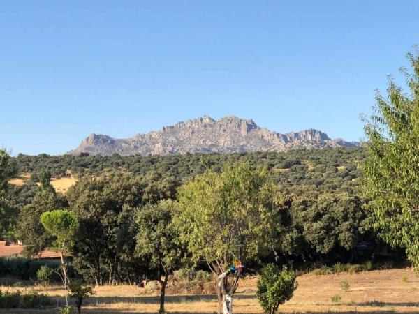 Terreno en camino de Cabanillas, 5