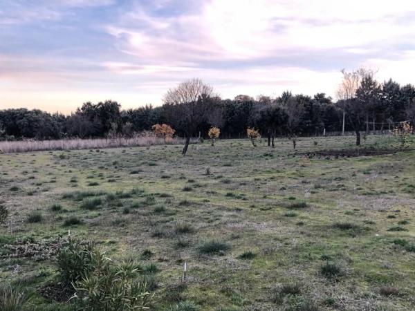 Terreno en camino de Cabanillas, 5