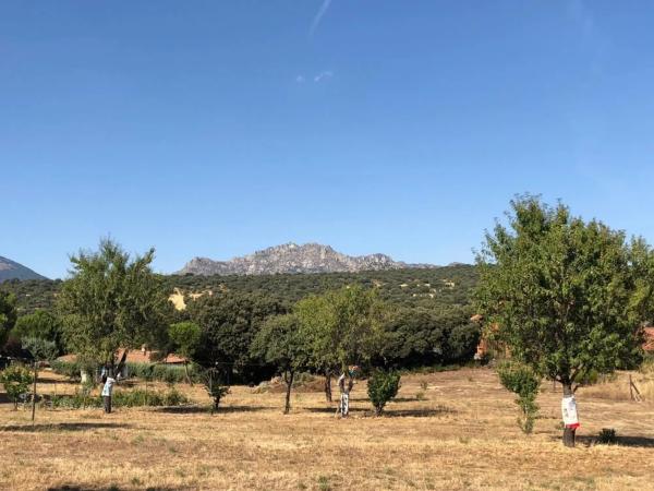 Terreno en camino de Cabanillas, 5