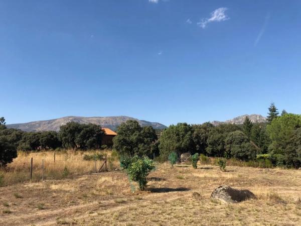 Terreno en camino de Cabanillas, 5