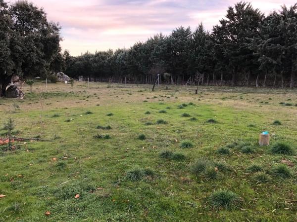 Terreno en camino de Cabanillas, 5