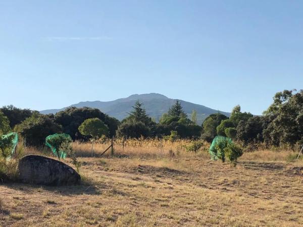 Terreno en camino de Cabanillas, 5
