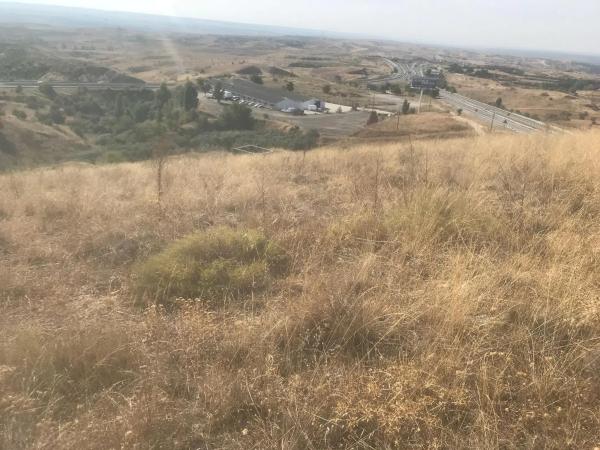 Terreno en calle Cariñena