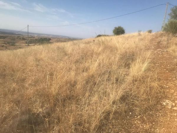 Terreno en calle Cariñena