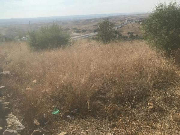 Terreno en calle el Almendro