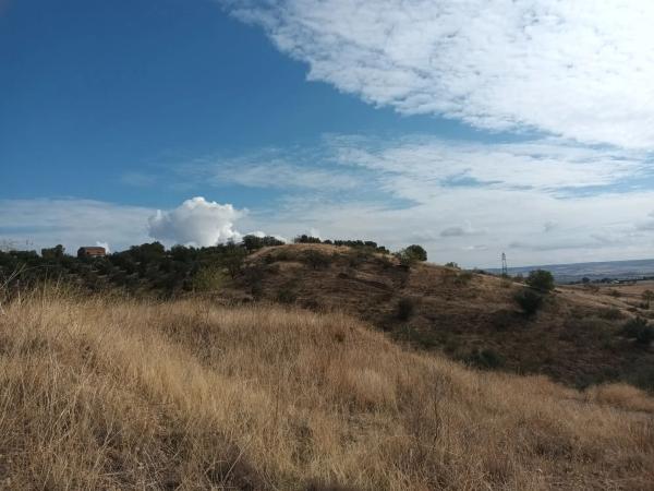 Terreno en calle el Almendro