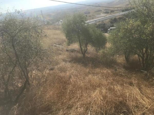 Terreno en calle el Almendro