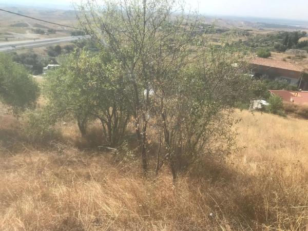 Terreno en calle el Almendro