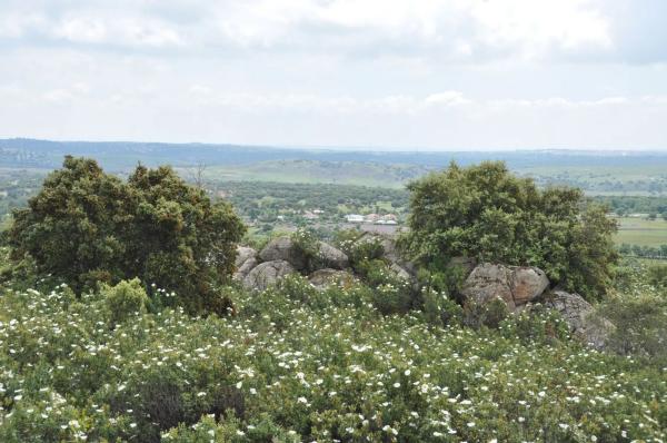 Terreno en calle Arreturas, km 1