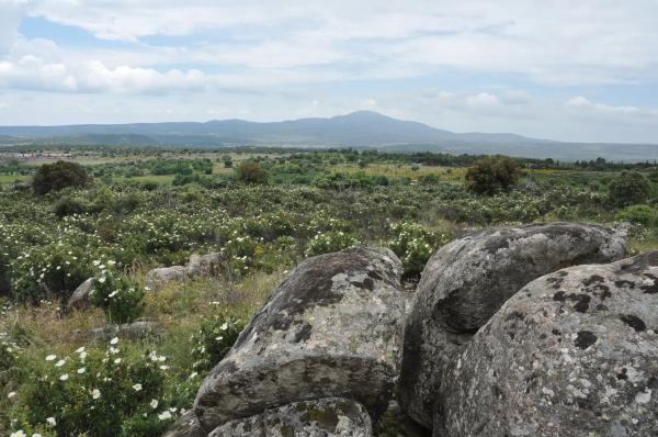 Terreno en calle Arreturas, km 1