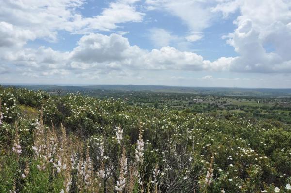 Terreno en calle Arreturas, km 1