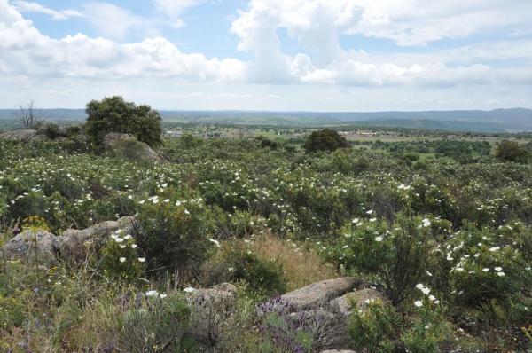 Terreno en calle Arreturas, km 1