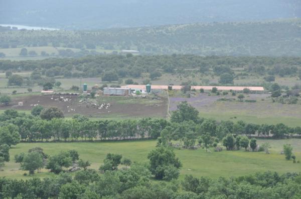 Terreno en calle Arreturas, km 1