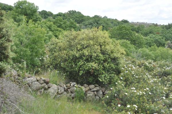Terreno en calle Arreturas, km 1