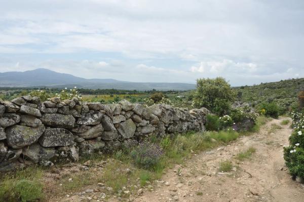 Terreno en calle Arreturas, km 1