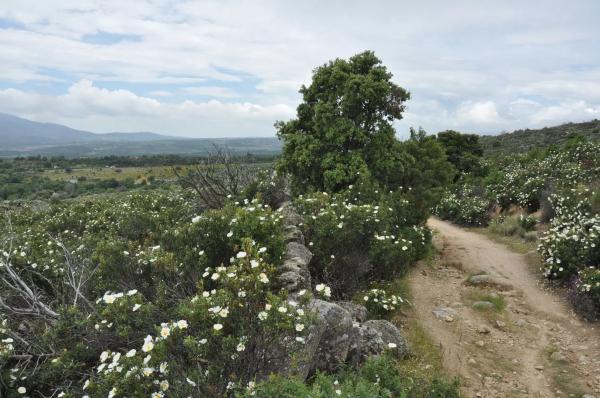 Terreno en calle Arreturas, km 1