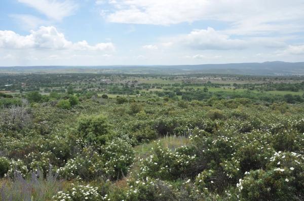 Terreno en calle Arreturas, km 1