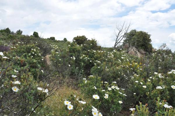 Terreno en calle Arreturas, km 1