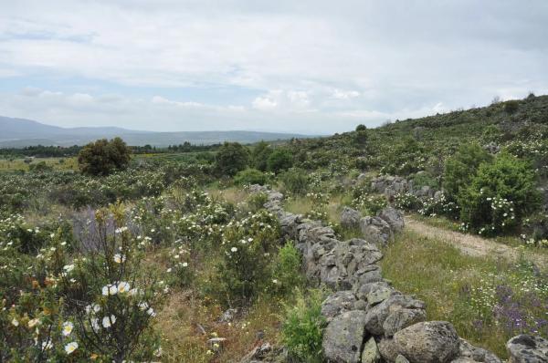 Terreno en calle Arreturas, km 1