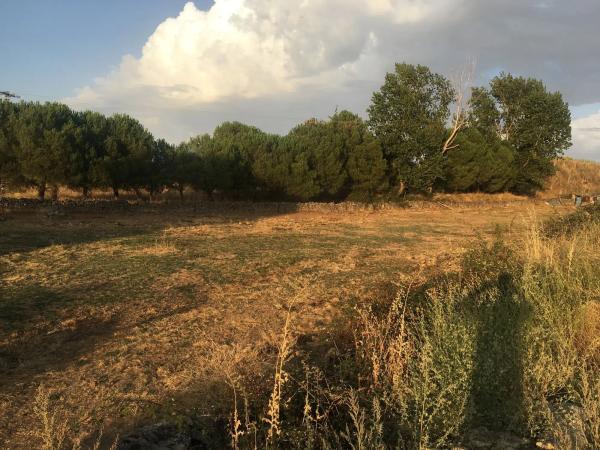 Terreno en calle del Polideportivo, 4