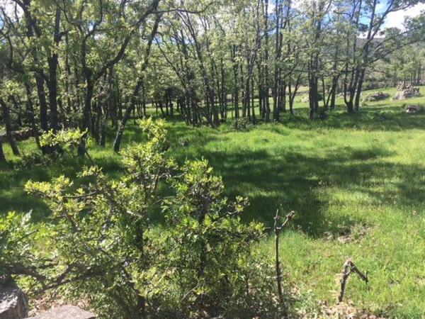 Terreno en camino de Las Viñas s/n