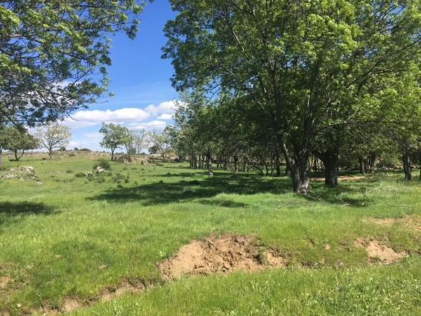 Terreno en camino de Las Viñas s/n