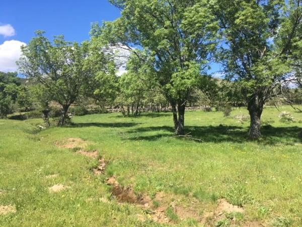 Terreno en camino de Las Viñas s/n