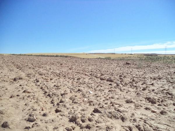 Terreno en camino de Barajas s/n
