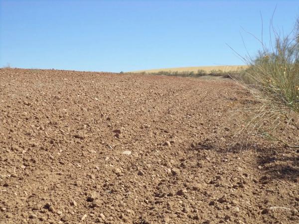 Terreno en camino de Barajas s/n