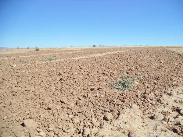 Terreno en camino de Barajas s/n