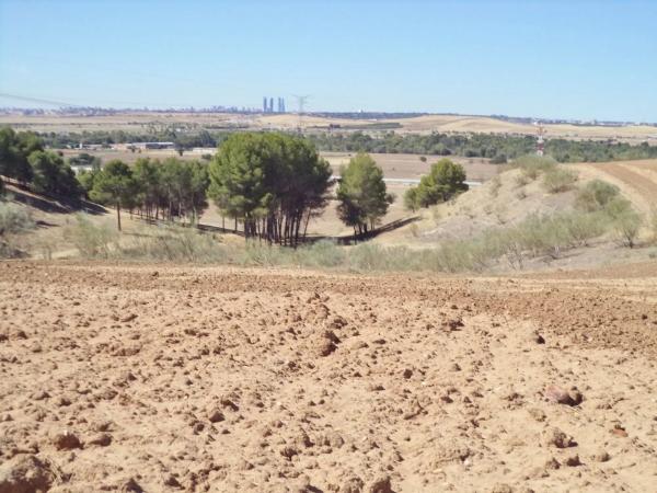 Terreno en camino de Barajas s/n