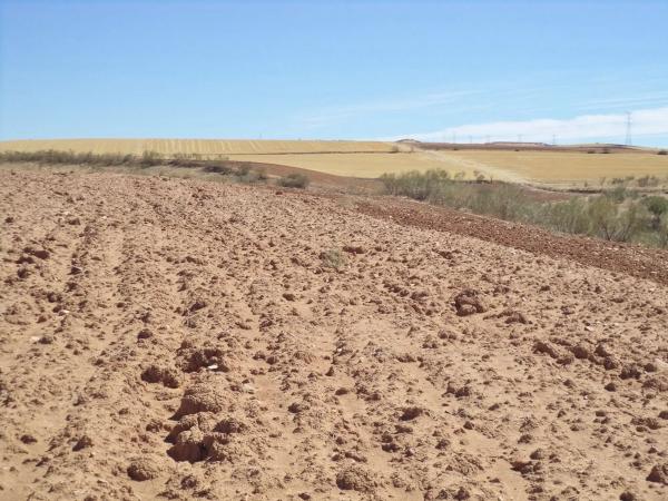 Terreno en camino de Barajas s/n