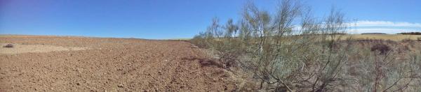 Terreno en camino de Barajas s/n