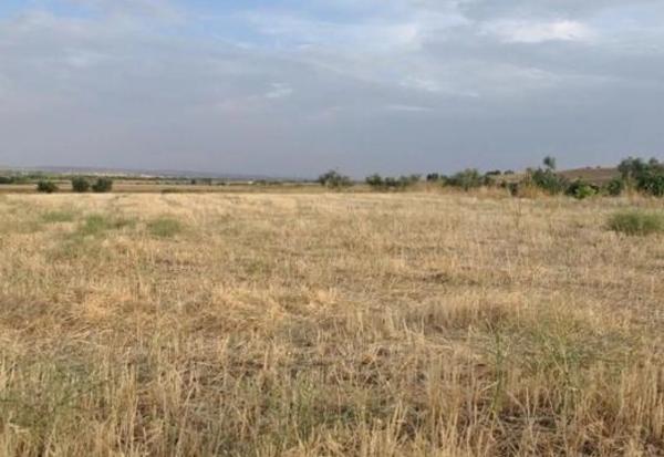 Terreno en camino Viejo de Madrid a Torrelaguna s/n