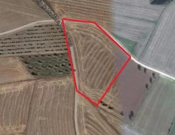 Terreno en camino Viejo de Madrid a Torrelaguna s/n